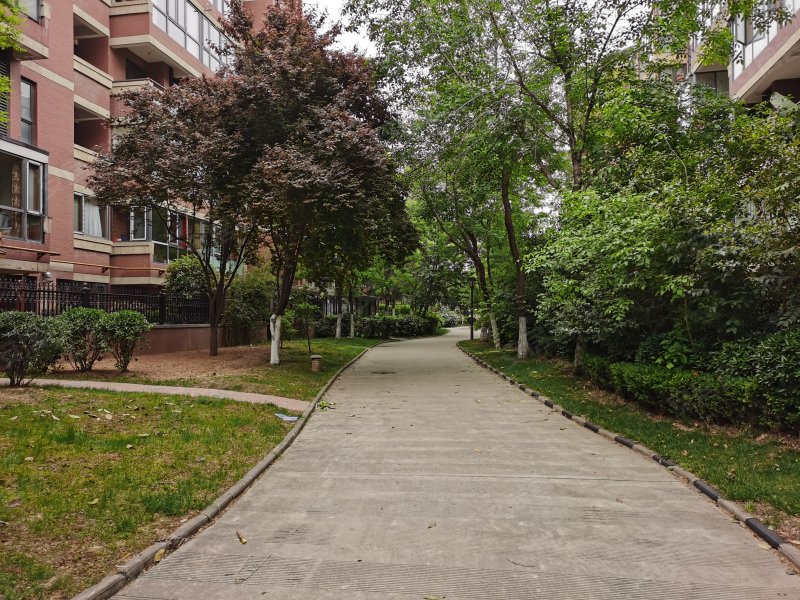 金地芙蓉世家(别墅)