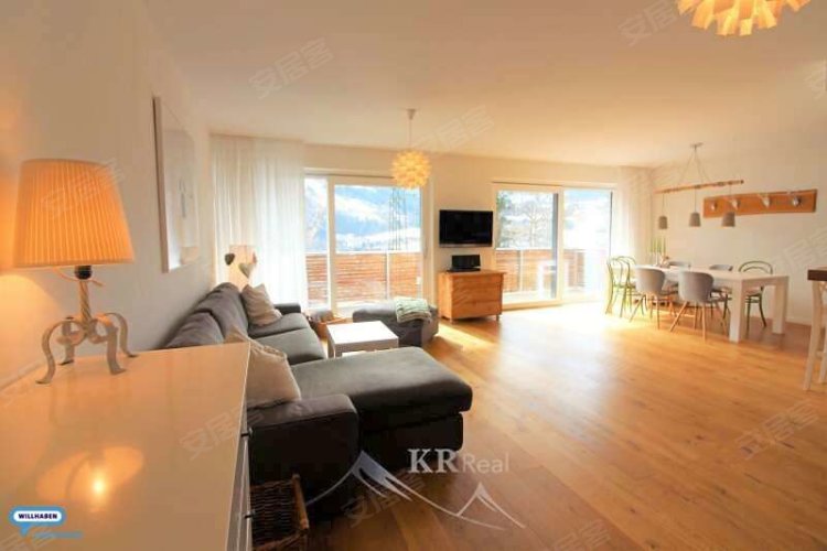 奥地利约¥743万AustriaSchlad gHouse出售二手房公寓图片