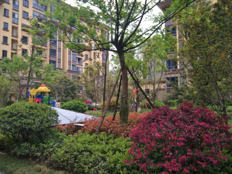 凯莱国际(二期)