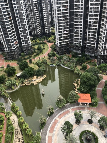 海伦堡林隐天下