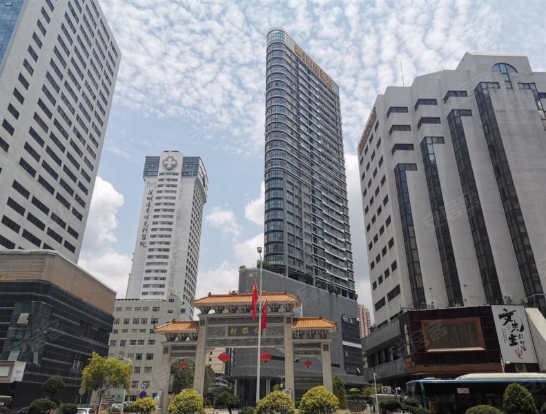 向西雍睦豪庭,东门南路3022号-深圳向西雍睦豪庭二手房,租房,房价