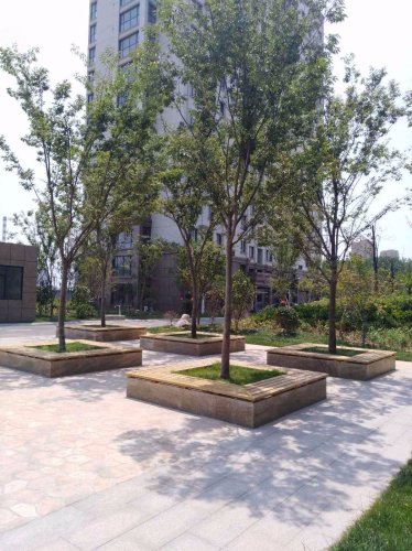 永泰和顺园,清江路,近五台山路 - 曹县永泰和顺园二手房,租房,房价