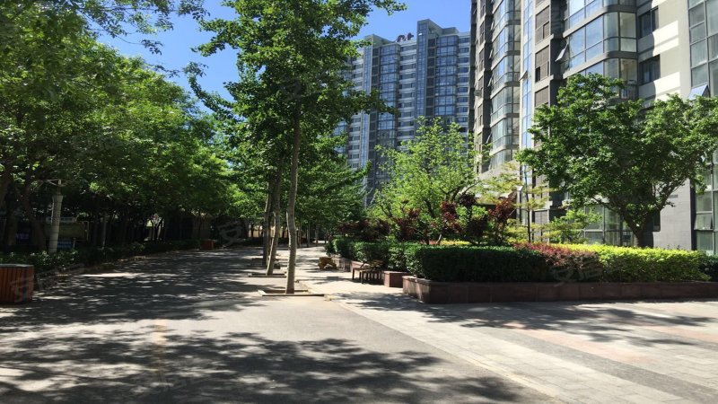 紫云轩10号名邸