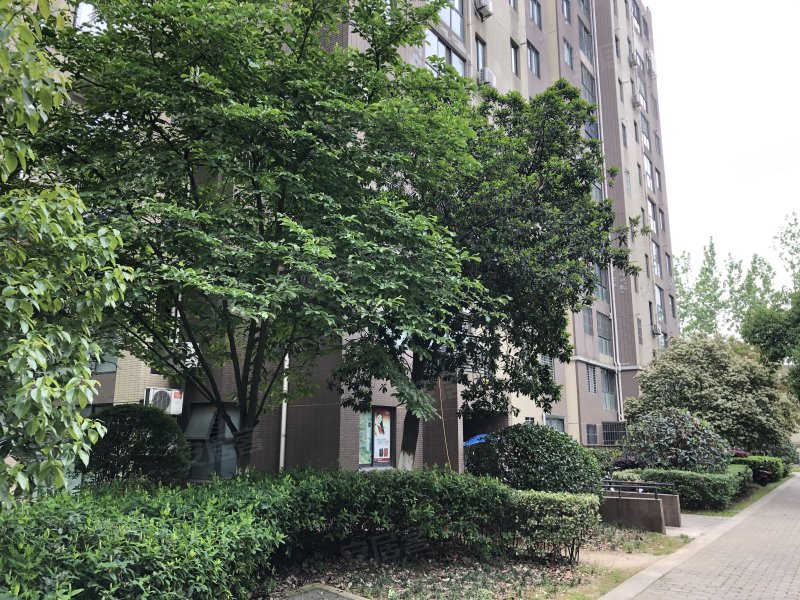 大溪地天悦轩