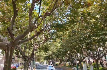 汇宝公寓(北区)