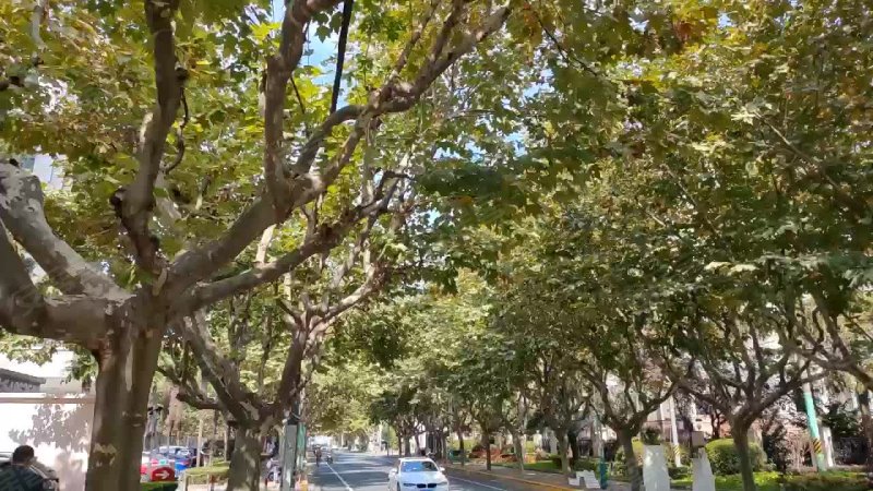 汇宝公寓(北区) 