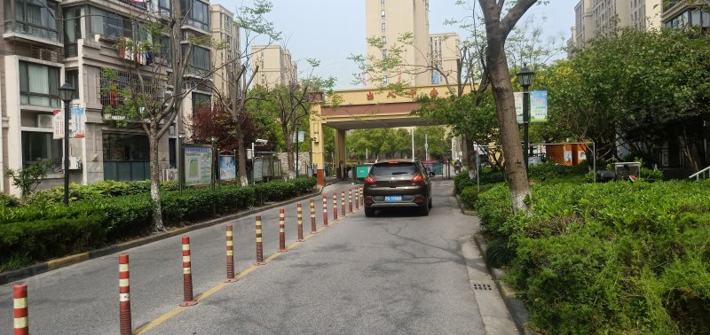 绿地金山名邸(别墅)