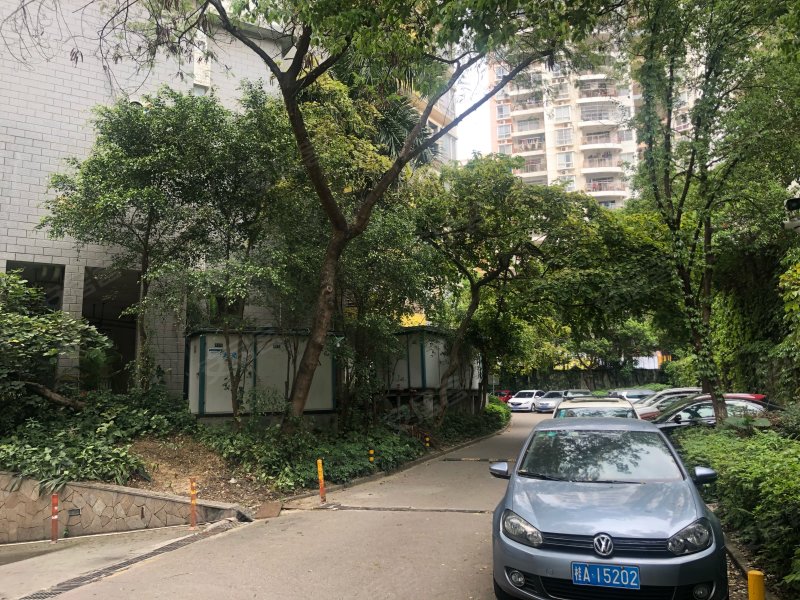 香格里拉花园(一期),长湖路59号-南宁香格里拉花园(一期)二手房,租房