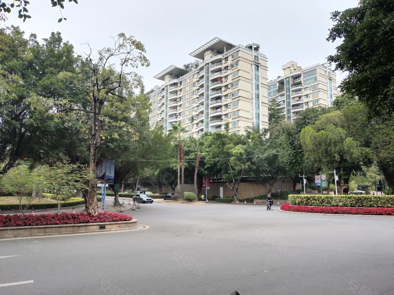 汇景新城棕榈园,汇景南路-广州汇景新城棕榈园二手房,租房,房价-广州