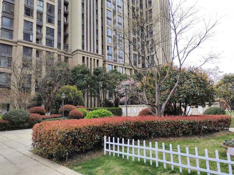 国贸天琴湾,中山南路,近长江南路-芜湖国贸天琴湾二手房,租房,房价-芜