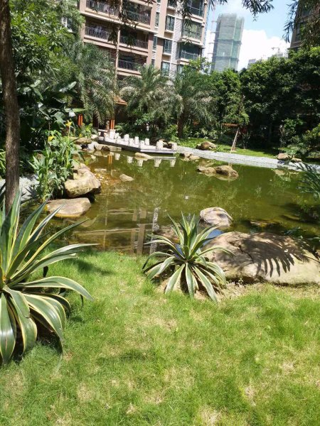 世博嘉园,黎明一路23号-佛山世博嘉园二手房,租房,房价-佛山安居客