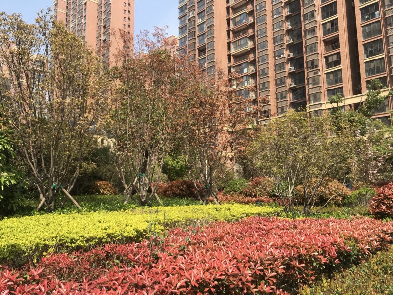 绿都紫荆华庭(和园)