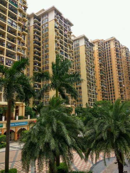 正大时代华庭,埔园路109号-深圳正大时代华庭二手房,租房,房价-深圳