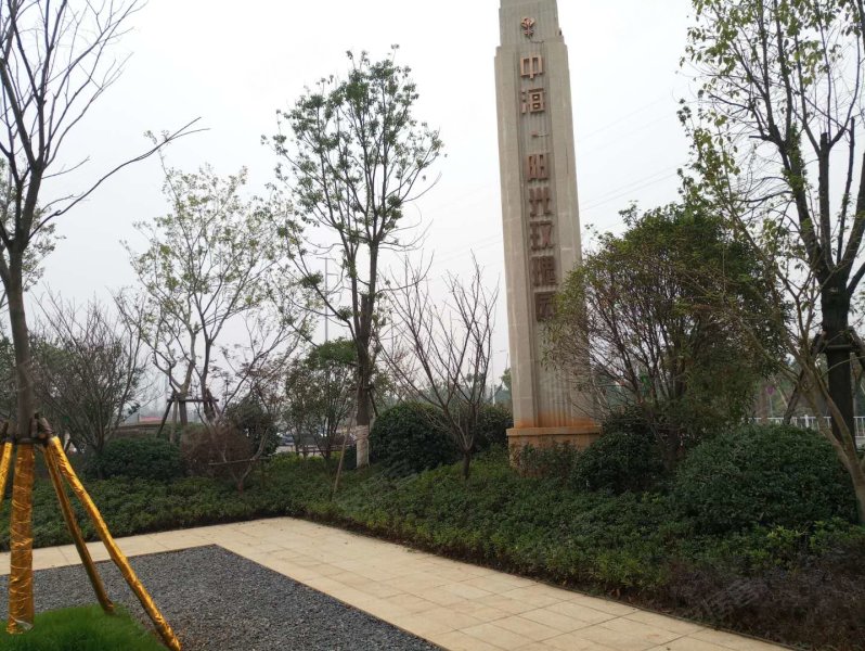 中海阳光玫瑰园