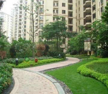 锦绣香江芙蓉园