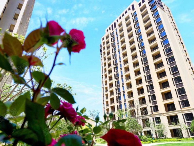 碧桂园凤鸣海尚(公寓住宅)