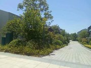太湖花苑