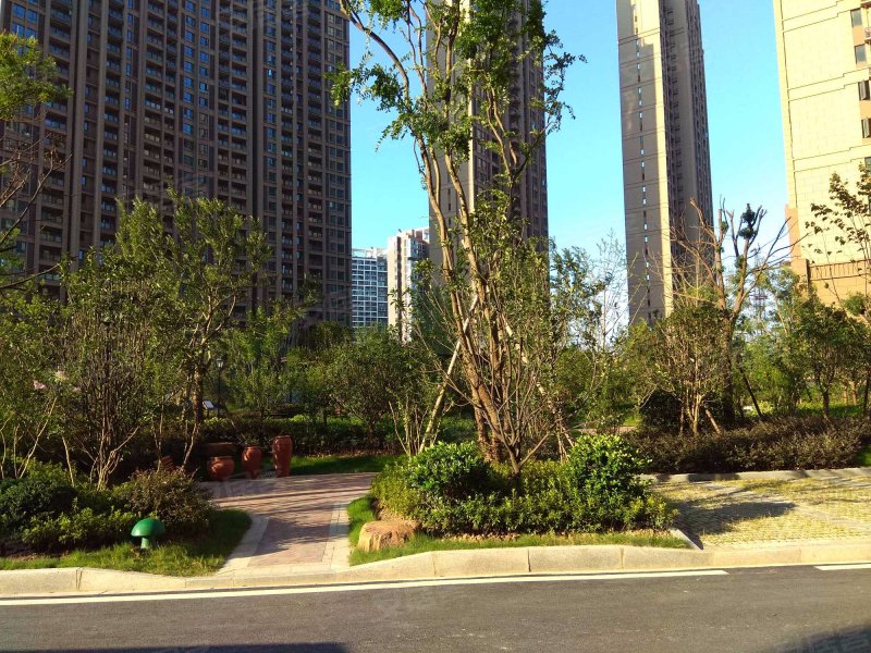 百步亭现代城四区