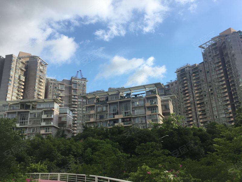 黄埔雅苑逸悠园,福中路319号-深圳黄埔雅苑逸悠园二手房,租房,房价