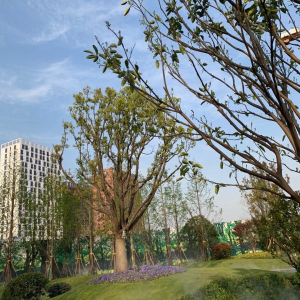 龙光玖悦华府