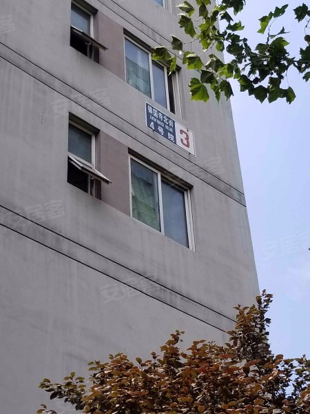 星河城冬季星空,镇国寺北街4号-北京星河城冬季星空二手房,租房,房价