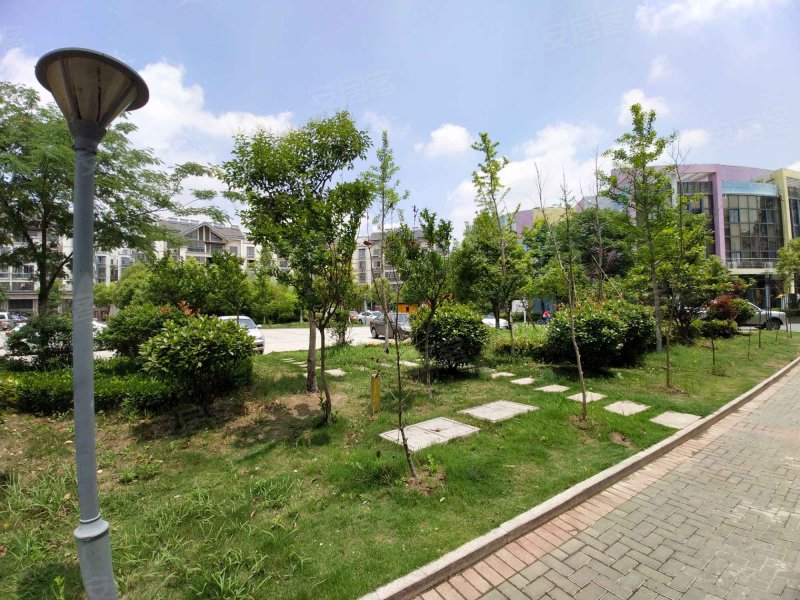 龙泰御景湾,人民南路-盐城龙泰御景湾二手房,租房,房价-盐城安居客