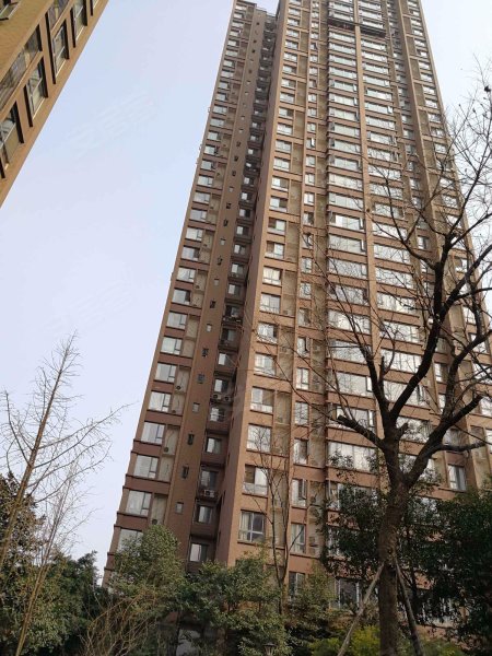 上东阳光美悦林