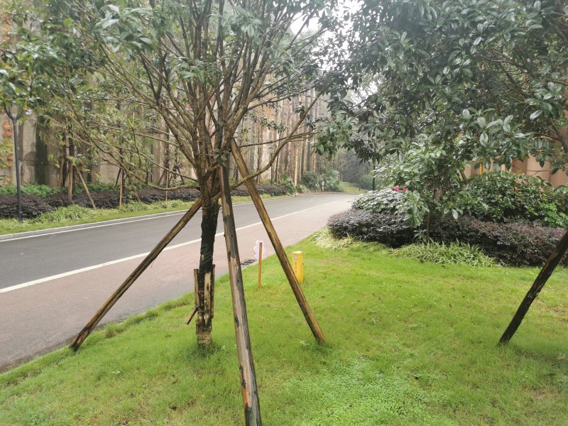 志龙观江岭,官家林11号-衡水志龙观江岭二手房,租房,房价-衡水安居客