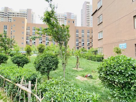 清华紫光园,国基路89号-郑州清华紫光园二手房,租房,房价-郑州安居客