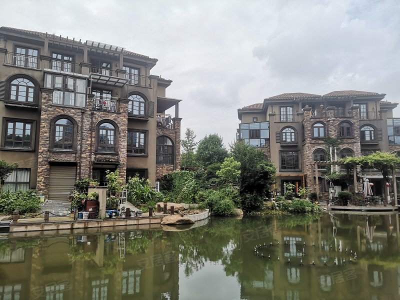 托莱多佩德拉萨