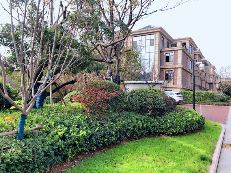 云龙湖悦府(别墅),大学路9号-徐州云龙湖悦府(别墅)二手房,租房,房价