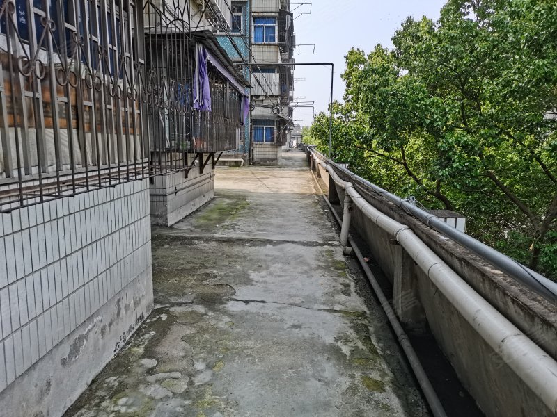 宜城公寓,宜城路176号-安庆宜城公寓二手房,租房,房价-安庆安居客