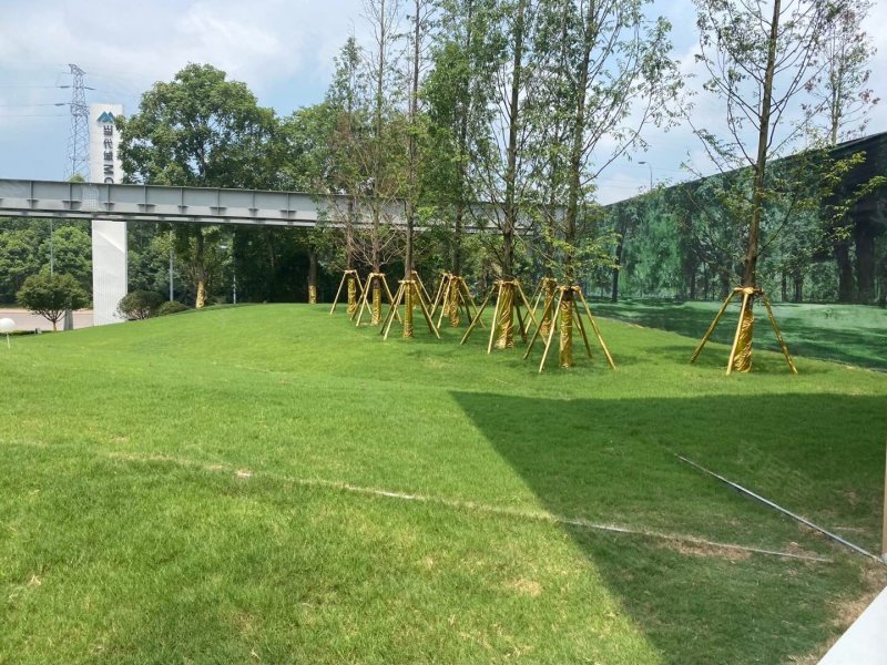 当代城moma,黛山大道,近聚金大道-重庆当代城moma二手房,租房,房价