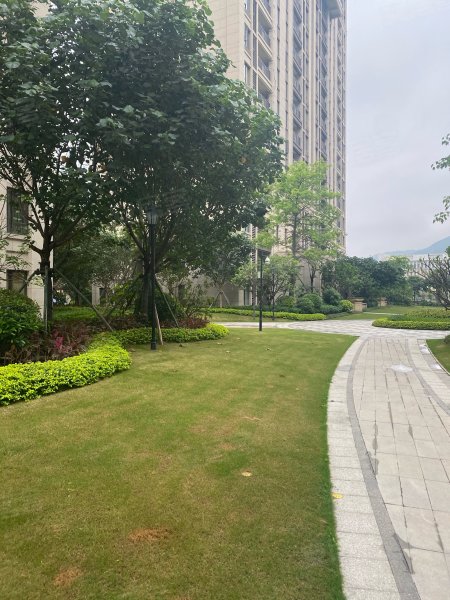 世茂滨江壹号,江滨堤路-肇庆世茂滨江壹号二手房,租房,房价-肇庆安居