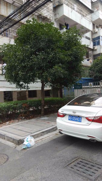 胜利一区,香山路-义乌胜利一区二手房,租房,房价-义乌安居客