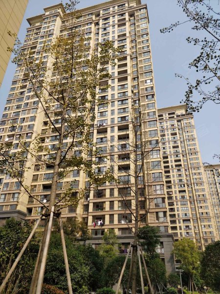 商城凤凰印象,凤凰北大道689号-南昌商城凤凰印象二手房,租房,房价
