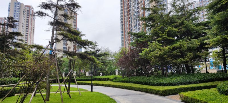 麦岛金岸,东海东路1号-青岛麦岛金岸二手房,租房,房价-青岛安居客