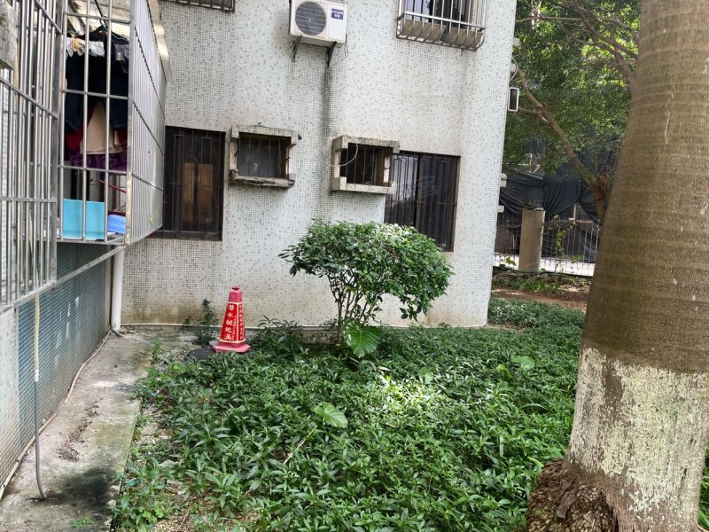 金湾花园2室1厅1卫带花园