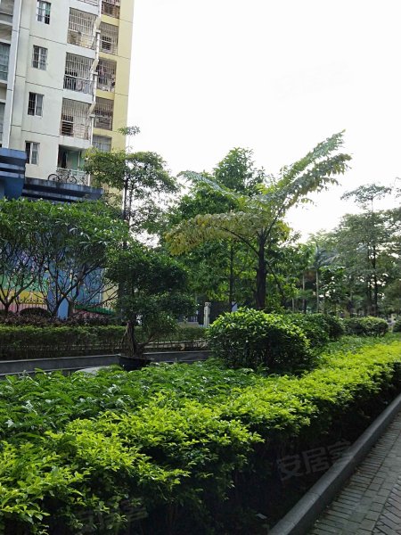 嘉州华都,大学东路27号-南宁嘉州华都二手房,租房,房价-南宁安居客