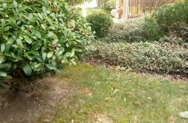 中信泰富又一城雅苑