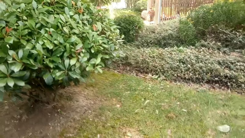 中信泰富又一城雅苑 