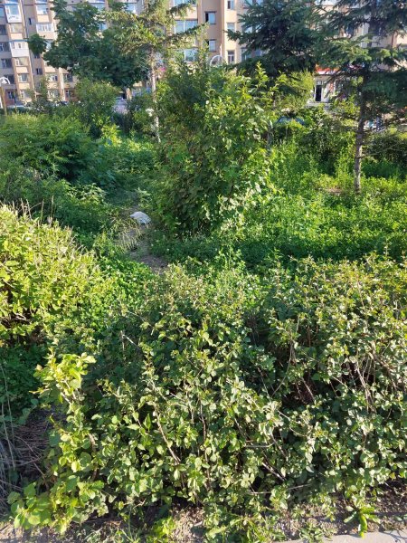 富康花园小区,光谷大街-长春富康花园小区二手房,租房,房价-长春安居