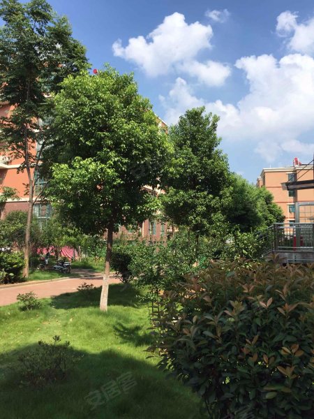 龙城懿品,巨龙大道143号-武汉龙城懿品二手房,租房,房价-武汉安居客