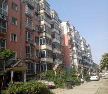 金城路旁金隆花园双气小区 步梯好楼层 南北通透四室