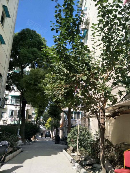 东三里桥路160弄小区 