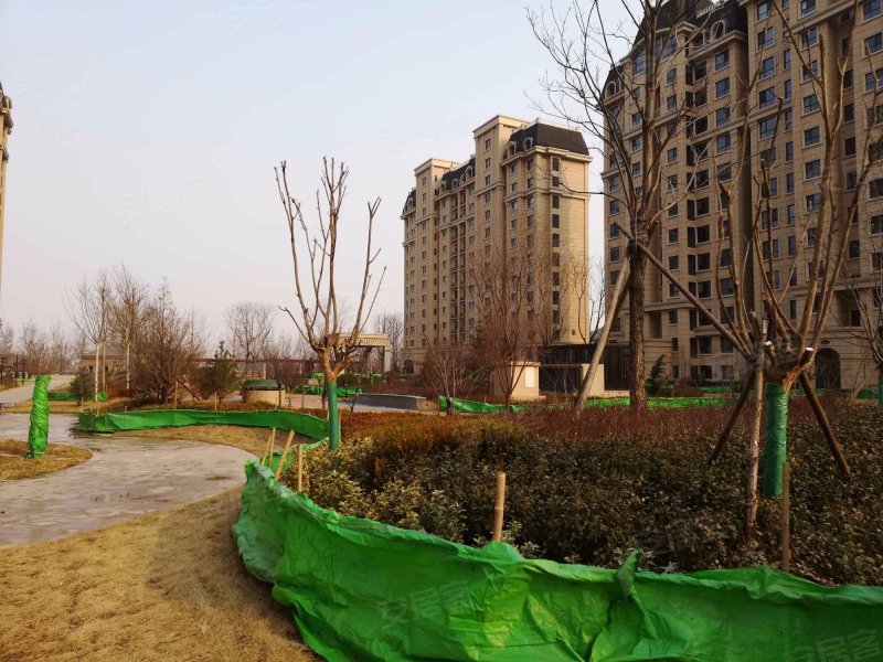 颐和庄园(三期b区),开元南大道,近海河西路-沧州颐和庄园(三期b区)