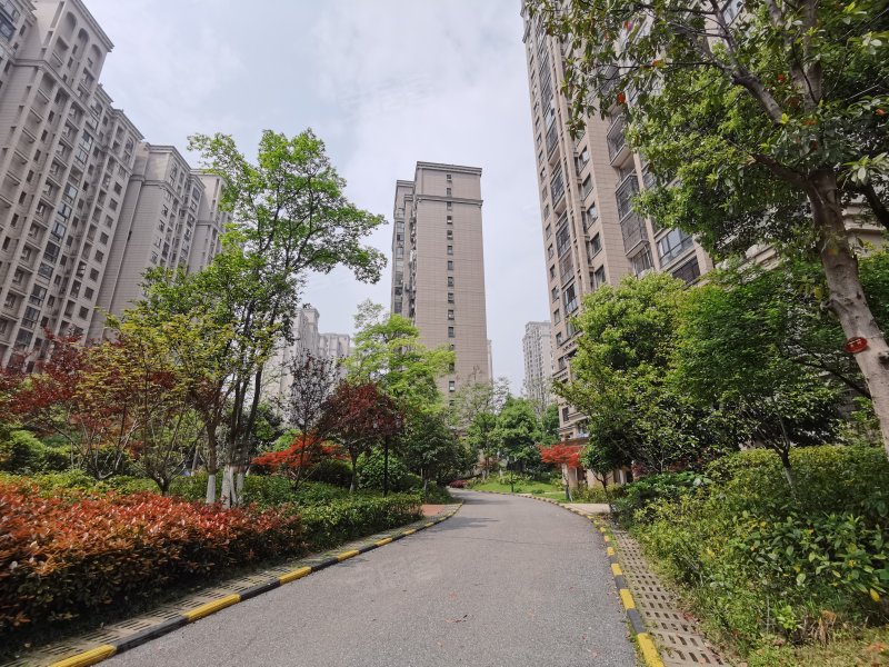 阳光丽城,银杉路529号-泉州阳光丽城二手房,租房,房价-泉州安居客