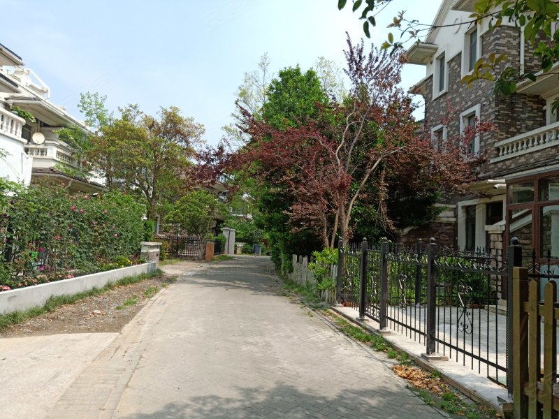 绿地21城b区(别墅)