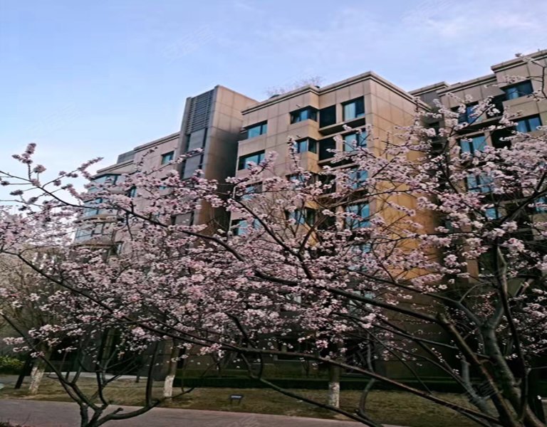 逸翠园北区2号院,姚家园东里2号-北京逸翠园北区2号院二手房,租房