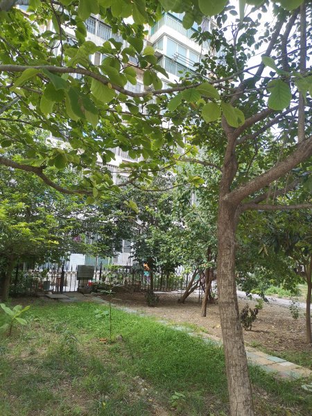 现代花园北苑,咸宁大道1号-淮北现代花园北苑二手房,租房,房价-淮北